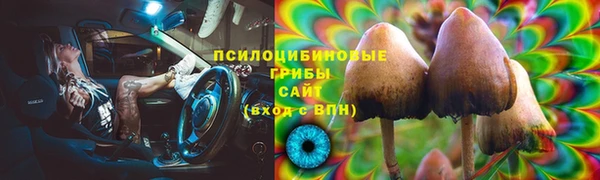 ПСИЛОЦИБИНОВЫЕ ГРИБЫ Осинники