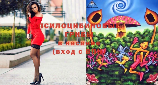 бутират Арсеньев